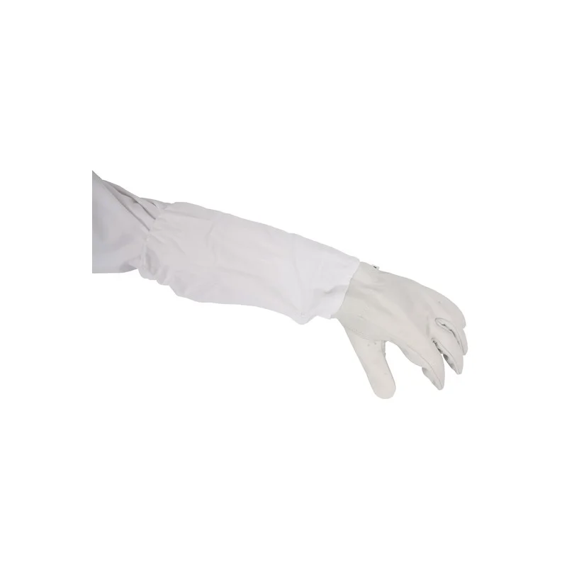 allesvoorongedierte2616972