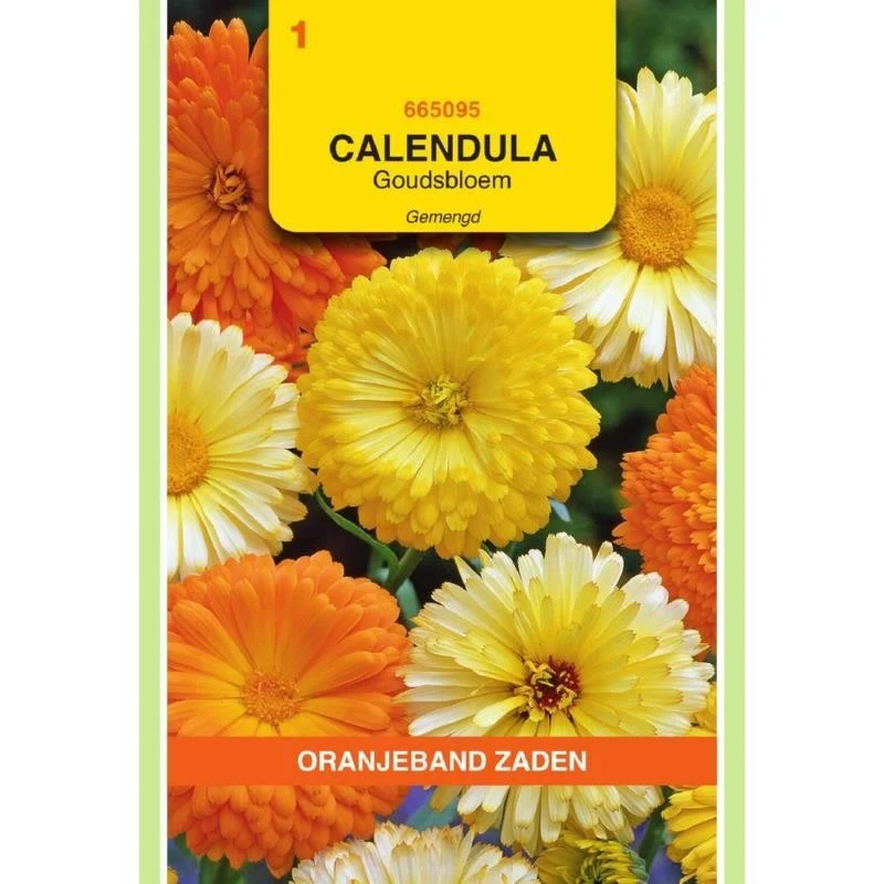 allesvoorongedierte2661712