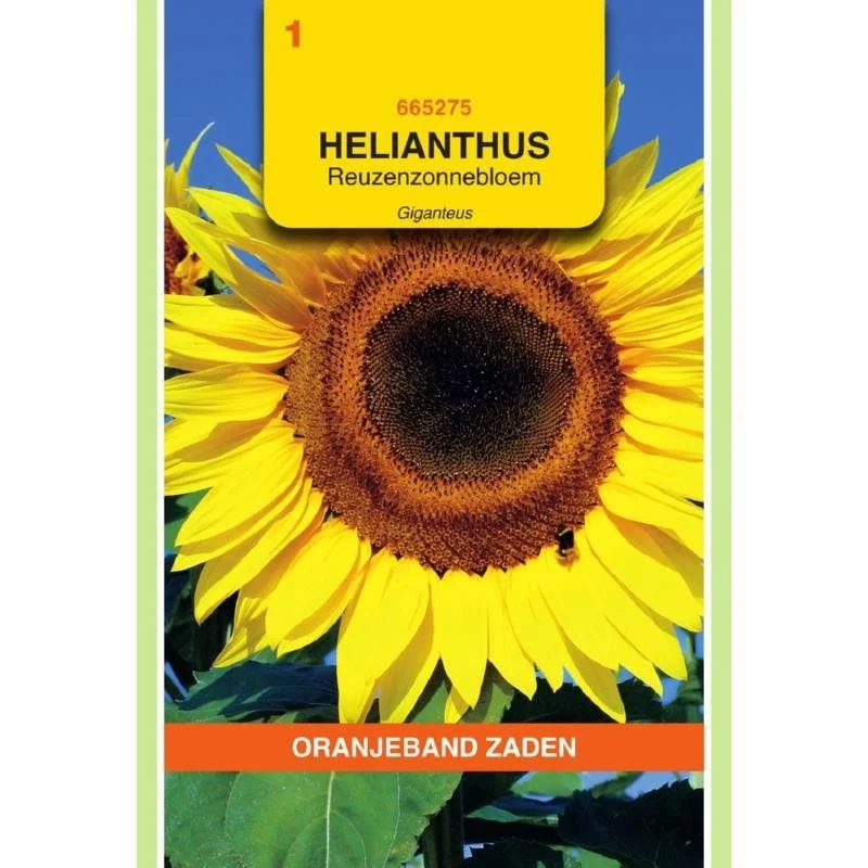 allesvoorongedierte2661839