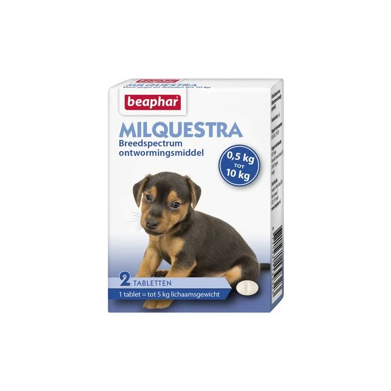 allesvoorongedierte2685522
