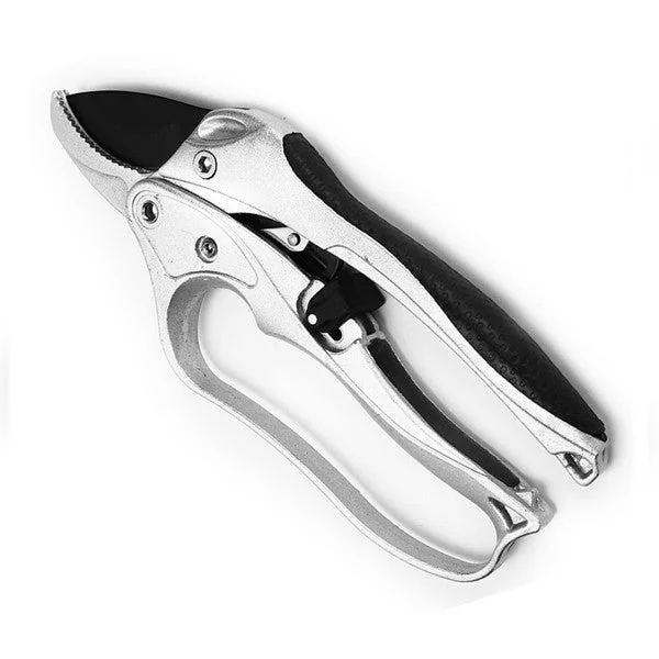 allesxl-12834193