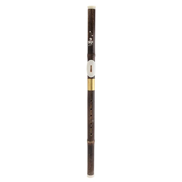 allesxl-12899616