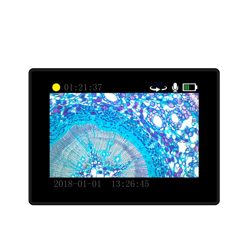 allesxl-12999540