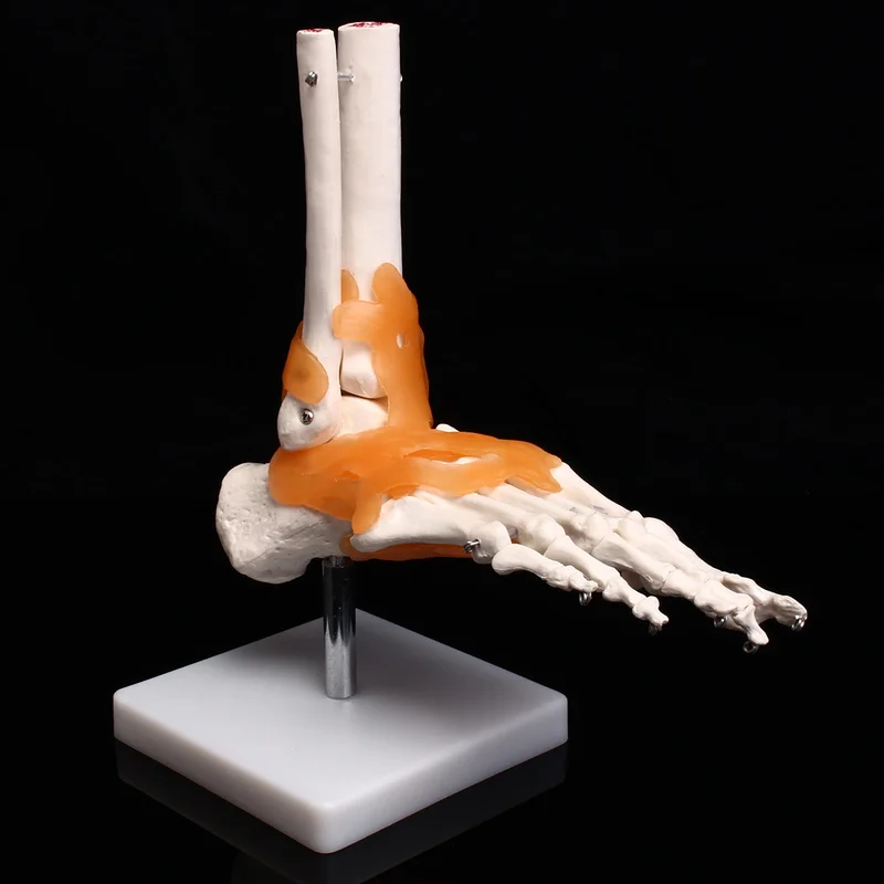 allesxl-13156766
