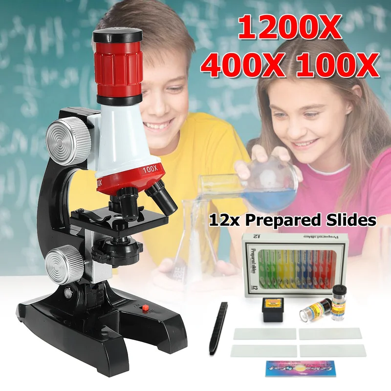 allesxl-22539420