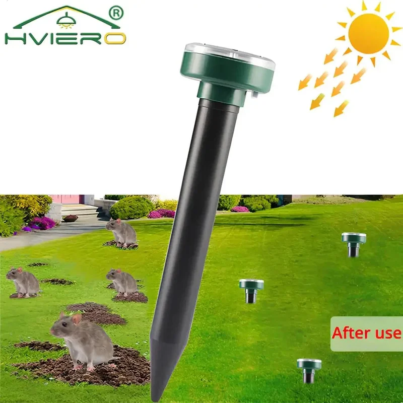allesxl-33052946