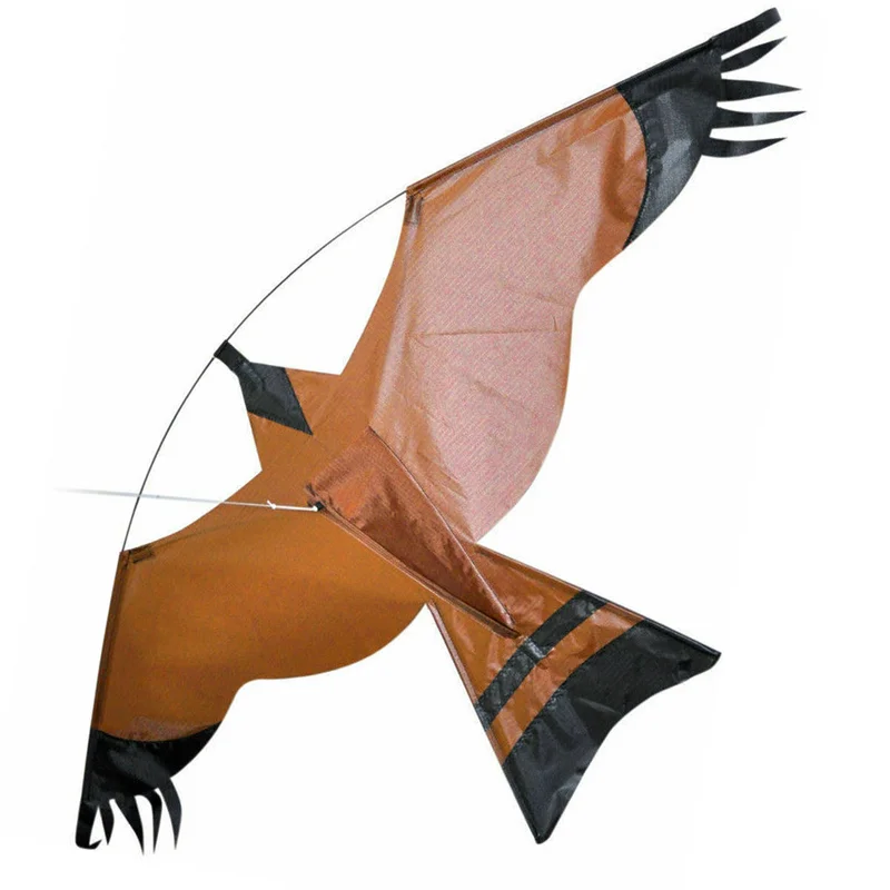 allesxl2433792