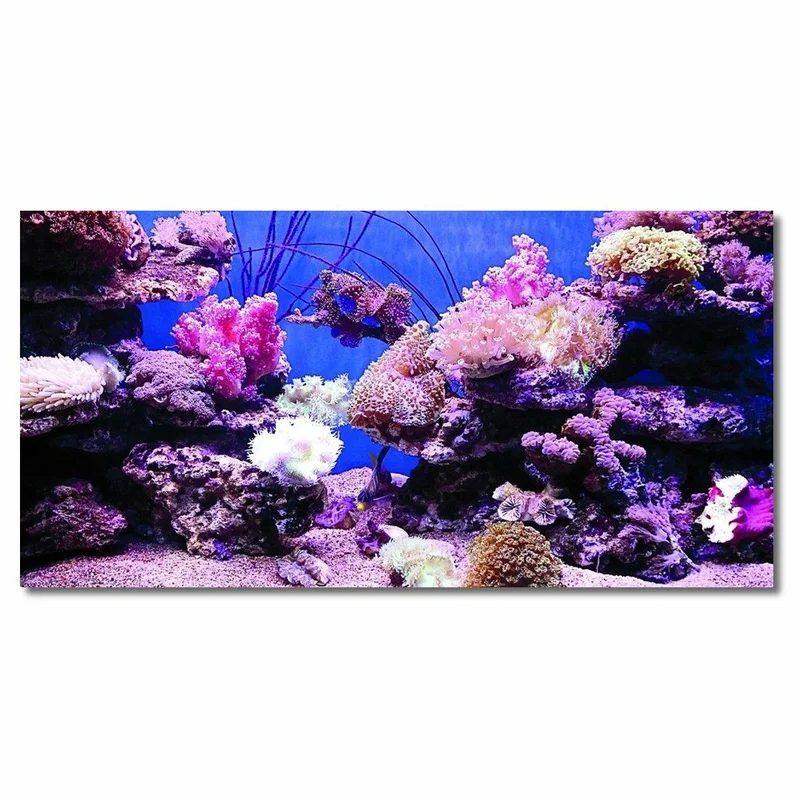 allesxl2449314