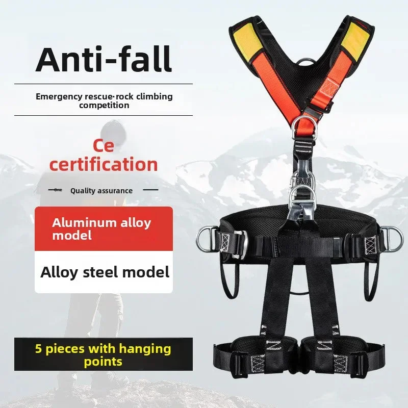 allesxl2686676
