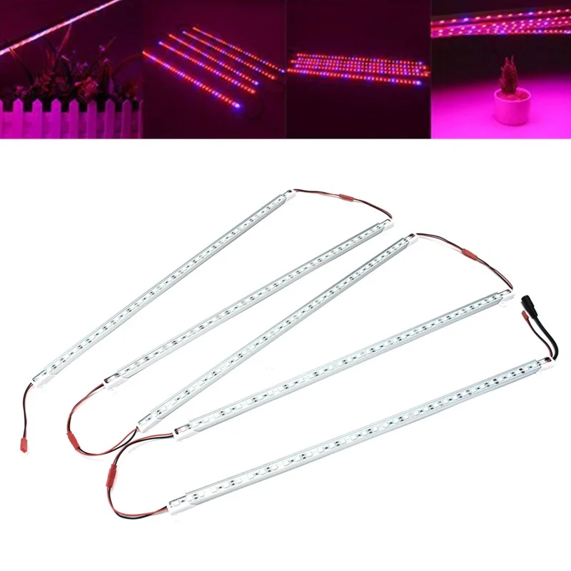 allesxl2950069