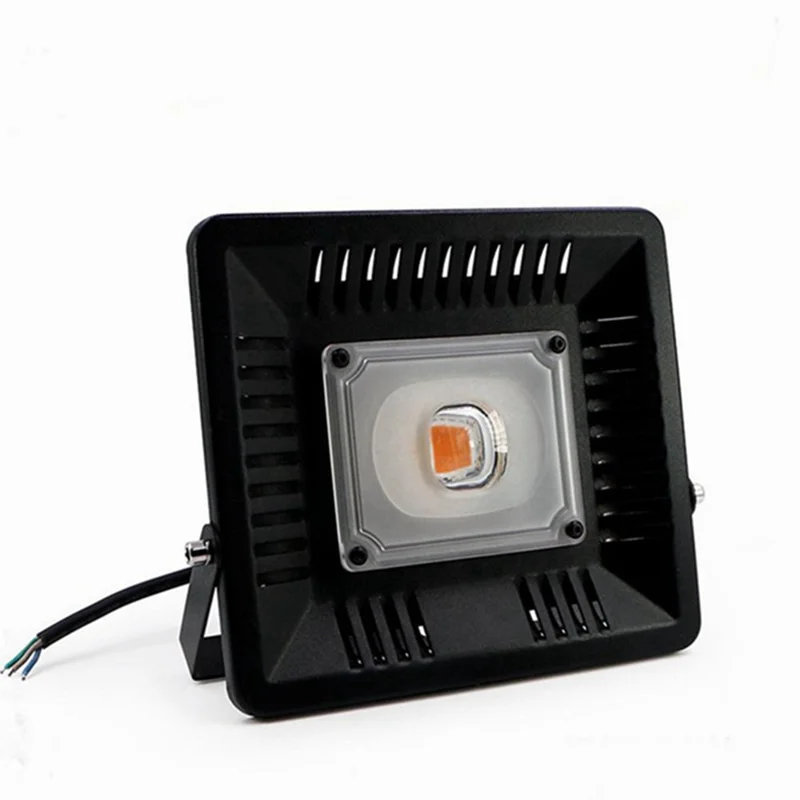 allesxl3010802