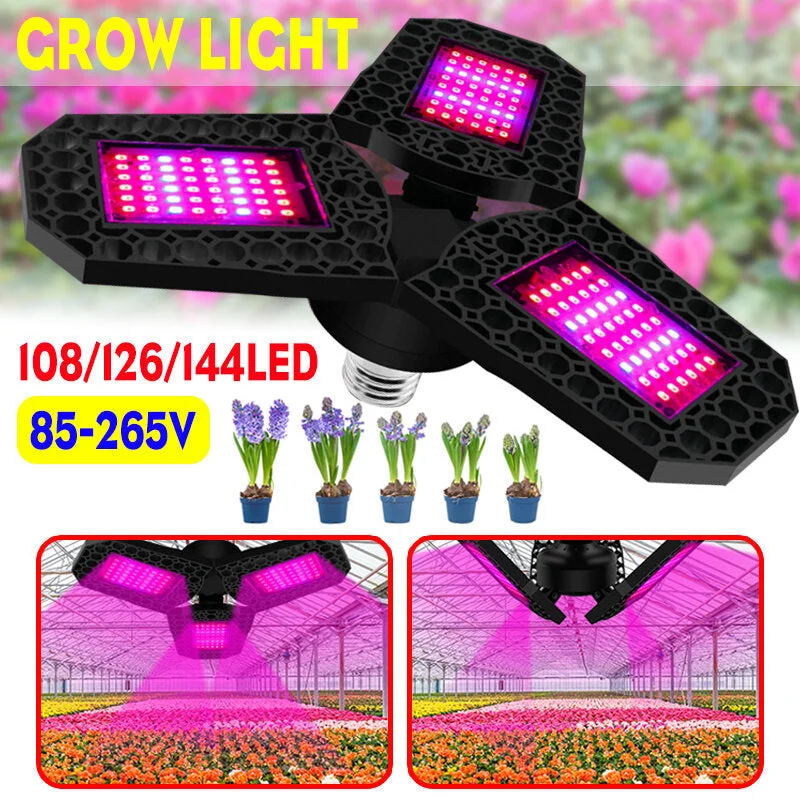 allesxl3284711