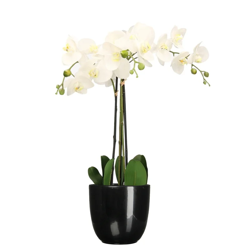 shoppartners-32602339