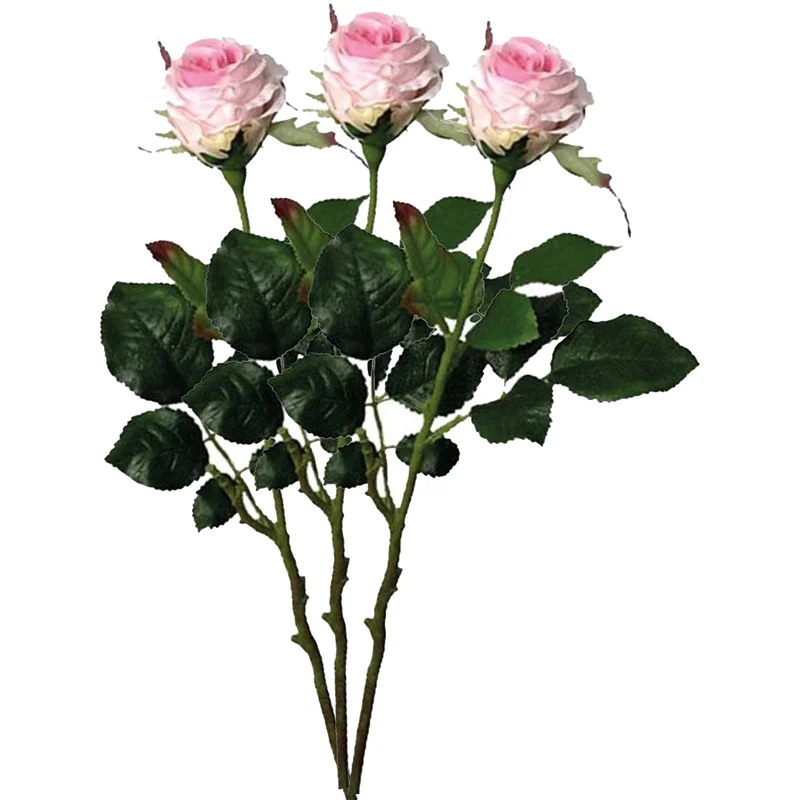 shoppartners-42664768