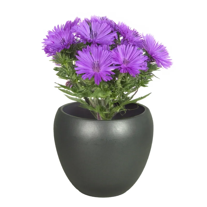 shoppartners-43022871
