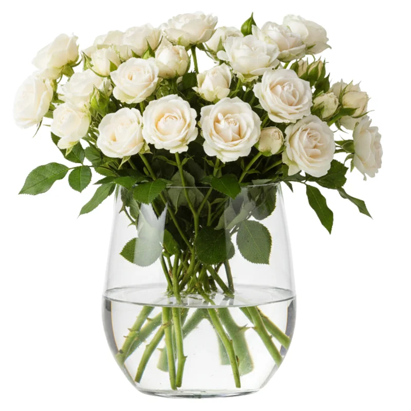 shoppartners2616032
