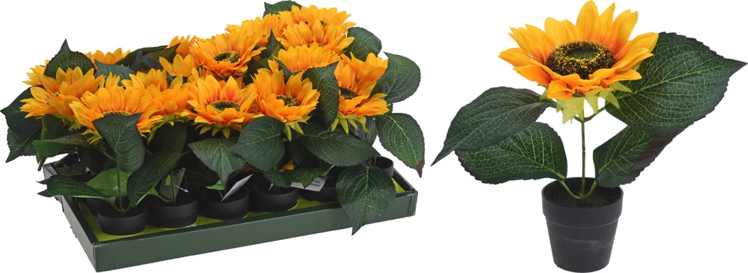 suprabazar-22725307