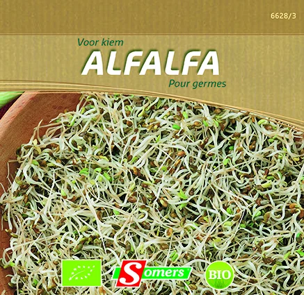 suprabazar-32688123
