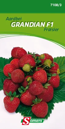 suprabazar-32840329