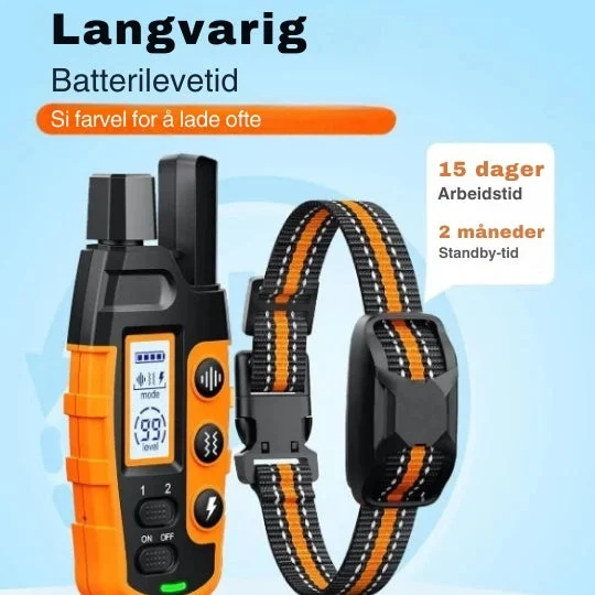 varenzo2480068