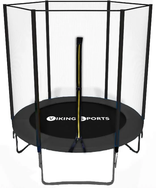 vikingchoice2423746