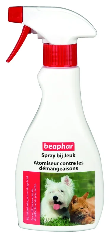 welkoop2773586