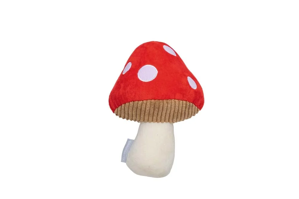 welkoop2902398