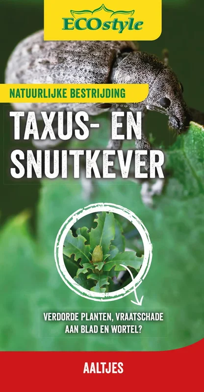 welkoop2914128